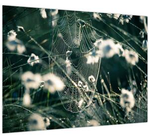 Tablou - Pânză de păianjen (70x50 cm)