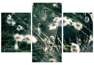 Tablou - Pânză de păianjen (90x60 cm)