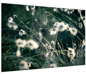Tablou - Pânză de păianjen (90x60 cm)