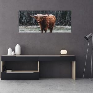 Tablou - Vacă scoțiană 2 (120x50 cm)