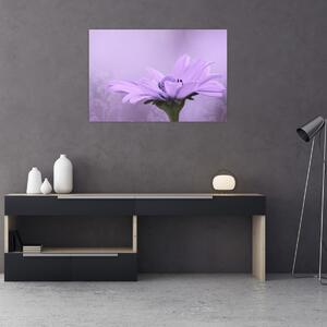 Tablou - Flori mov (90x60 cm)