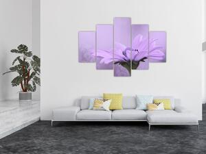 Tablou - Flori mov (150x105 cm)