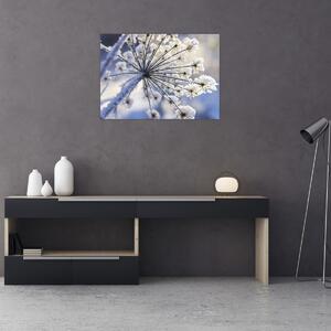 Tablou - Flori înghețate (70x50 cm)