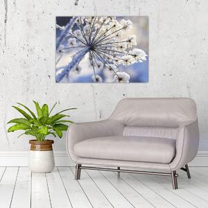 Tablou - Flori înghețate (70x50 cm)