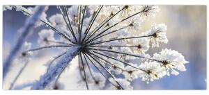 Tablou - Flori înghețate (120x50 cm)
