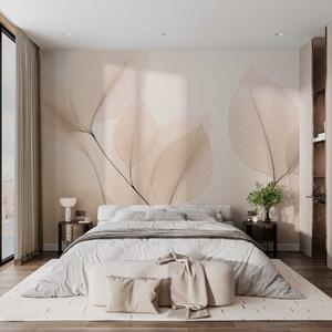Tapet Floare albă cu linie fină, Imagini de fundal unice, w05268 : Uwalls.ro