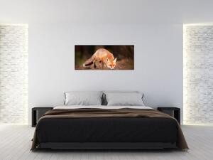 Tablou - Vulpe in pădure (120x50 cm)