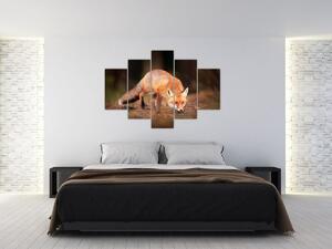Tablou - Vulpe in pădure (150x105 cm)