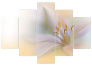 Tablou - Floare fragedă (150x105 cm)