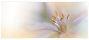 Tablou - Floare fragedă (120x50 cm)