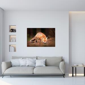 Tablou - Vulpe in pădure (90x60 cm)