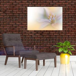 Tablou - Floare fragedă (90x60 cm)