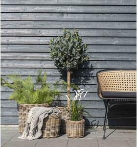Set 4 piese Cosuri Bogor, Natura, 40x40x35 cm