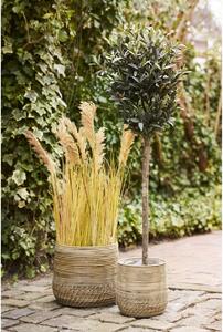 Set 2 piese Cosuri Moro Baskets, Natural, 38x38x34 cm