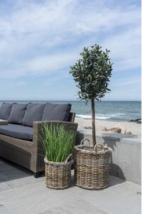 Set 2 piese Cosuri decorative Gili, Natural, 40x30x48 cm