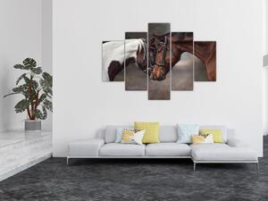 Tablou - Cai îndrăgostiți (150x105 cm)