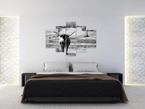 Tablou - Vacă,alb-negru (150x105 cm)