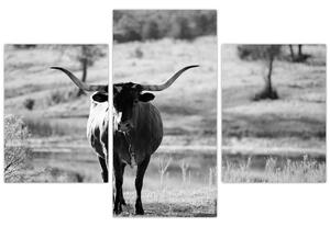 Tablou - Vacă,alb-negru (90x60 cm)