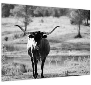 Tablou - Vacă,alb-negru (70x50 cm)