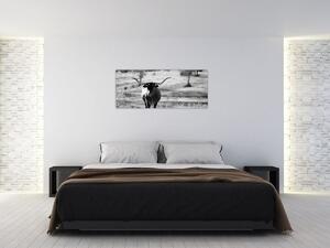 Tablou - Vacă,alb-negru (120x50 cm)