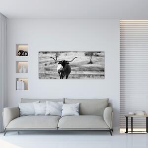 Tablou - Vacă,alb-negru (120x50 cm)
