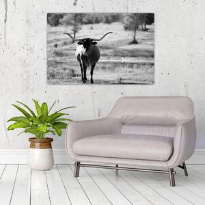 Tablou - Vacă,alb-negru (90x60 cm)