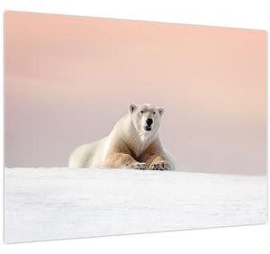 Tablou - Urs polar (70x50 cm)