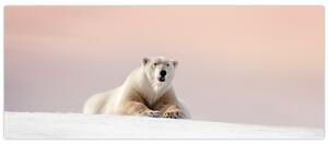 Tablou - Urs polar (120x50 cm)