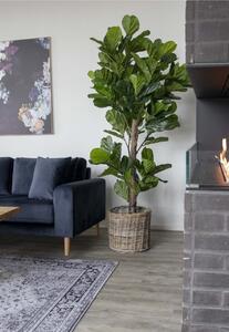 Planta artificiala decorativa Smochin lira, Verde, 81x93x190 cm