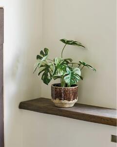 Planta artificiala decorativa Monstera Monstera, Verde, 26x26x41 cm