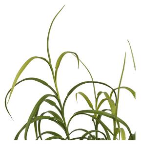 Planta artificiala decorativa Iarba, Verde, 36x36x89 cm