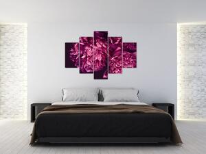 Tablou - Floarea bujorului (150x105 cm)