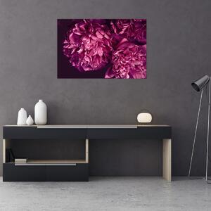 Tablou - Floarea bujorului (90x60 cm)