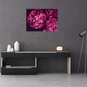 Tablou - Floarea bujorului (70x50 cm)