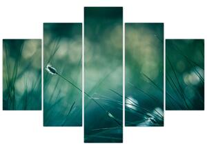 Tablou - Detaliu iarbă (150x105 cm)