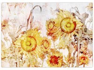 Tablou - Floarea-soarelui,pictură (70x50 cm)