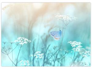 Tablou - Fluture în albastru (70x50 cm)