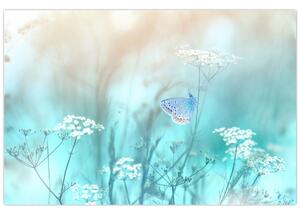 Tablou - Fluture în albastru (90x60 cm)