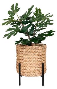 Ghiveci flori Antas, Natural, 26.5x26.5x29 cm