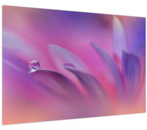 Tablou - Picătură pe floare (90x60 cm)