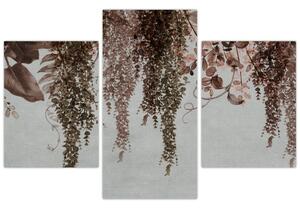 Tablou - Plante (90x60 cm)