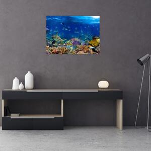 Tablou - Ocean (70x50 cm)