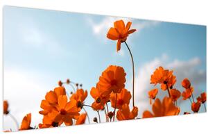 Tablou - Flori sălbatice (120x50 cm)