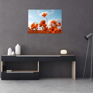 Tablou - Flori sălbatice (70x50 cm)