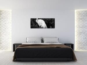 Tablou - Păun,alb-negru (120x50 cm)