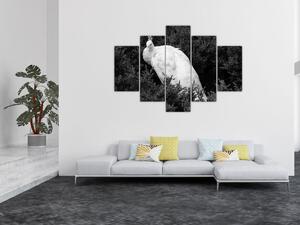 Tablou - Păun,alb-negru (150x105 cm)