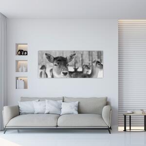 Tablou - Cerbi,alb-negru (120x50 cm)