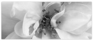 Tablou - Floare,alb-negru (120x50 cm)