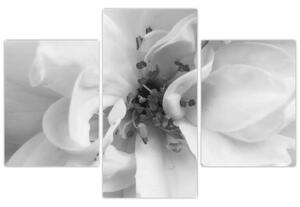 Tablou - Floare,alb-negru (90x60 cm)