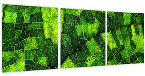Tablou - Detaliu frunze (cu ceas) (90x30 cm)